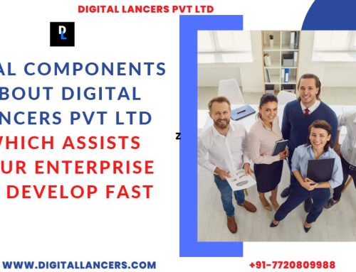 Vital Components About Digital Lancers Pvt Ltd Which Assists Your Enterprise to Develop Fast