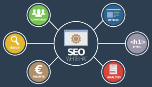 SEO Services in Pune 